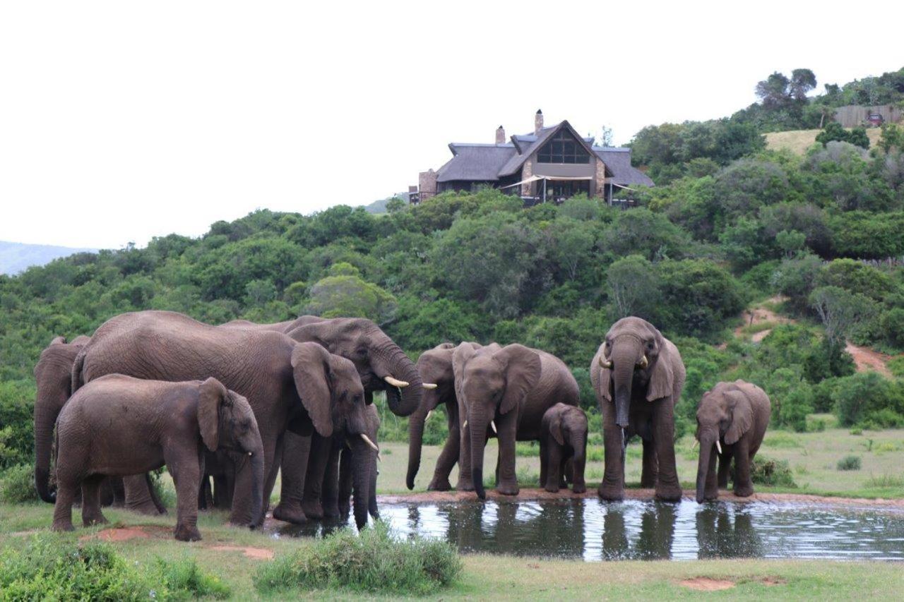 Hopewell Private Game Reserve Buyskloof Kültér fotó