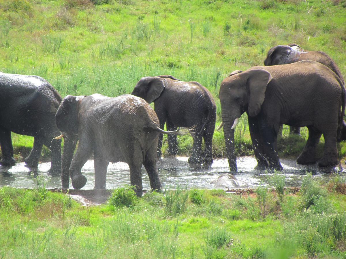 Hopewell Private Game Reserve Buyskloof Kültér fotó