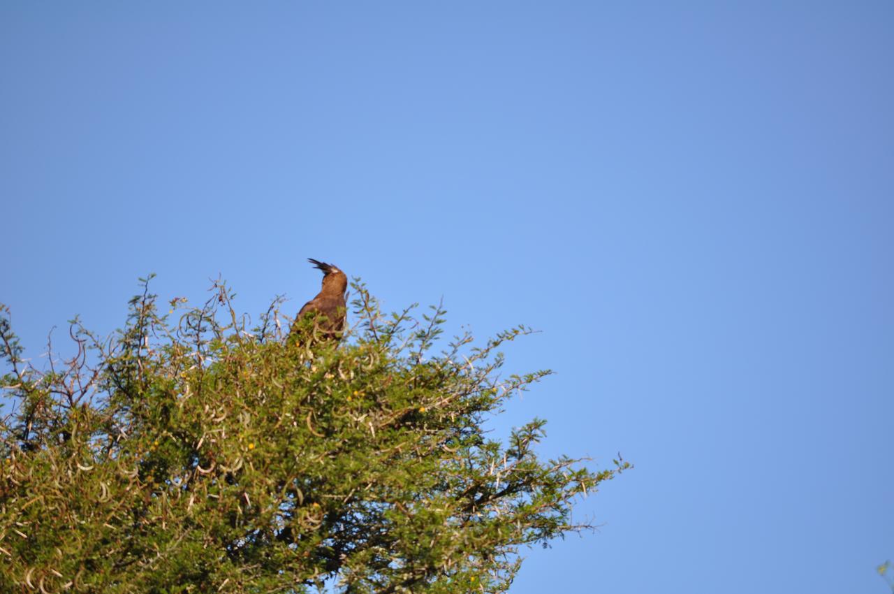 Hopewell Private Game Reserve Buyskloof Kültér fotó